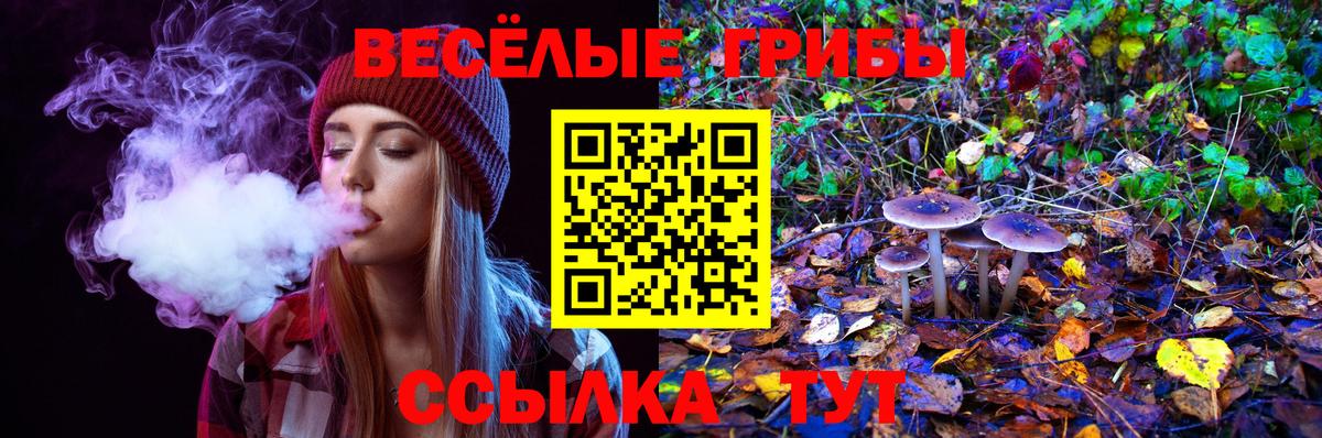продажа наркотиков  Псилоцибиновые грибы мухоморы  Галлюциногенные грибы ЛСД  Вход с VPN  Одинцово 